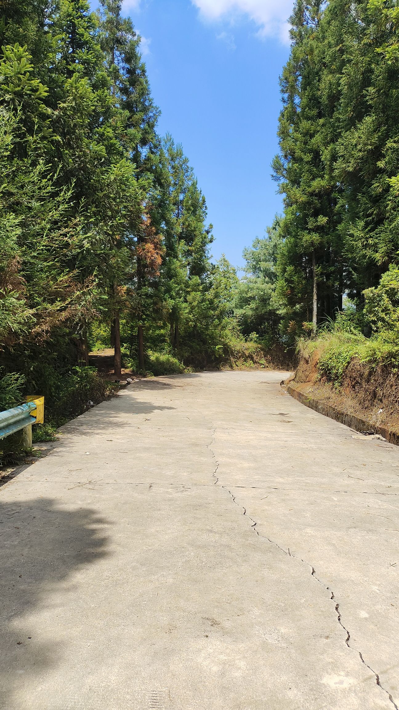 盘关镇草湿地旅行图片 3
