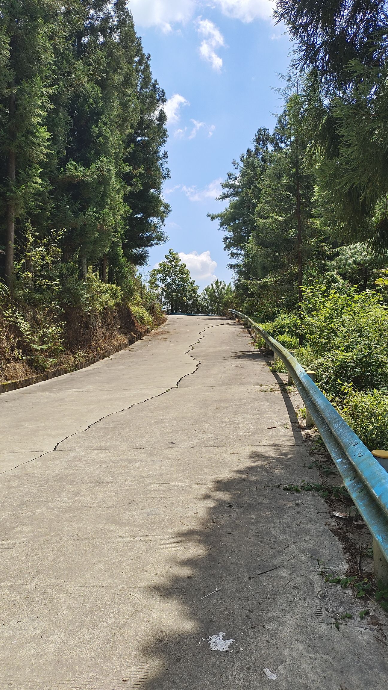 盘关镇草湿地旅行图片 1