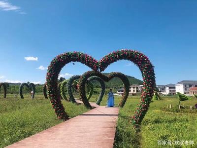 小密花乡景区旅行图片 3