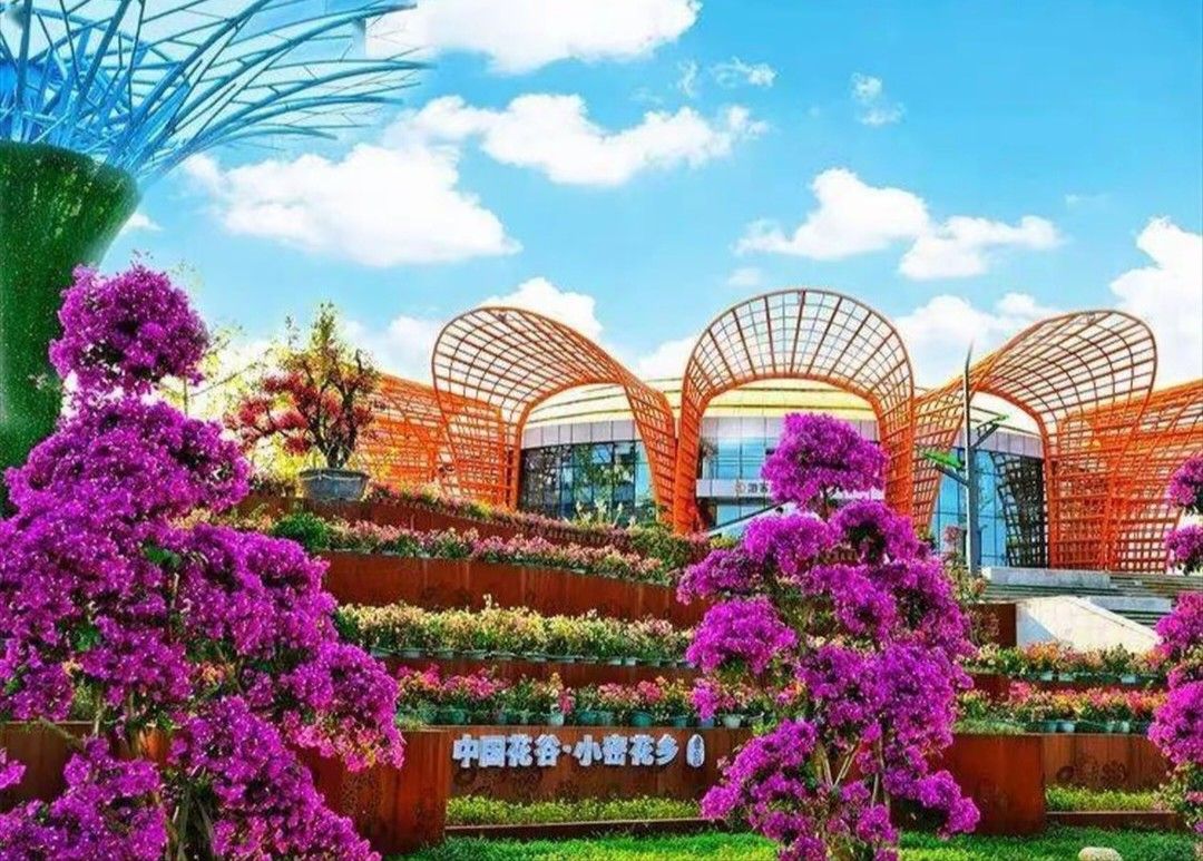 小密花乡景区旅行图片 1