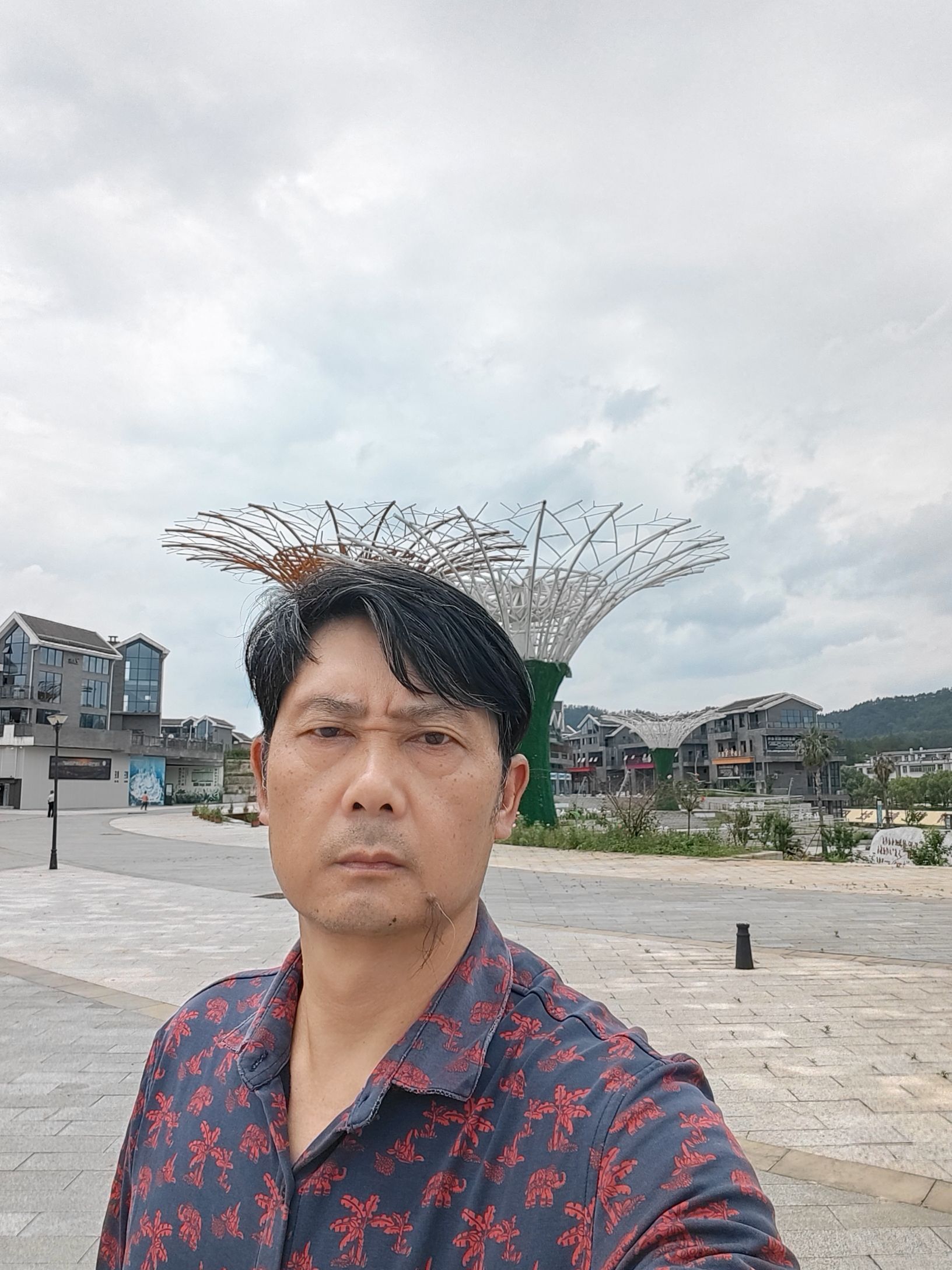 小密花乡景区旅行图片 1