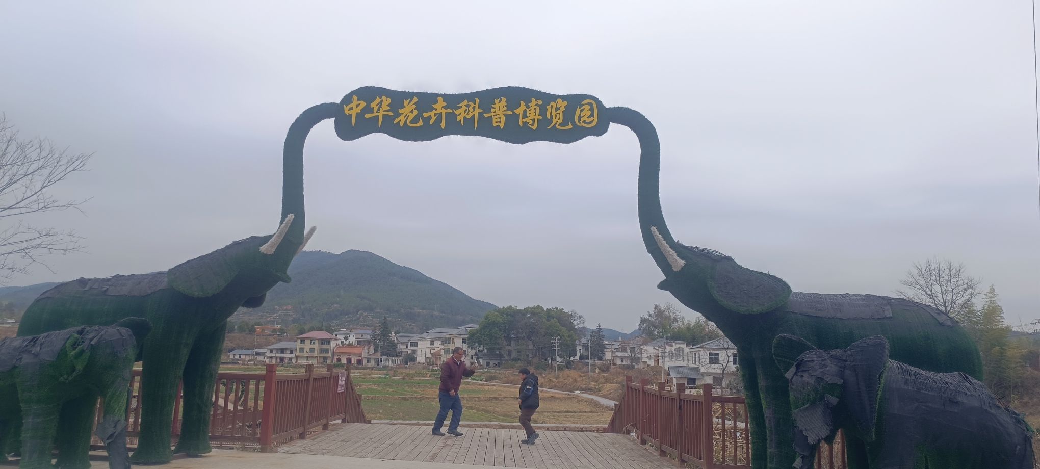 小密花乡景区旅行图片 3