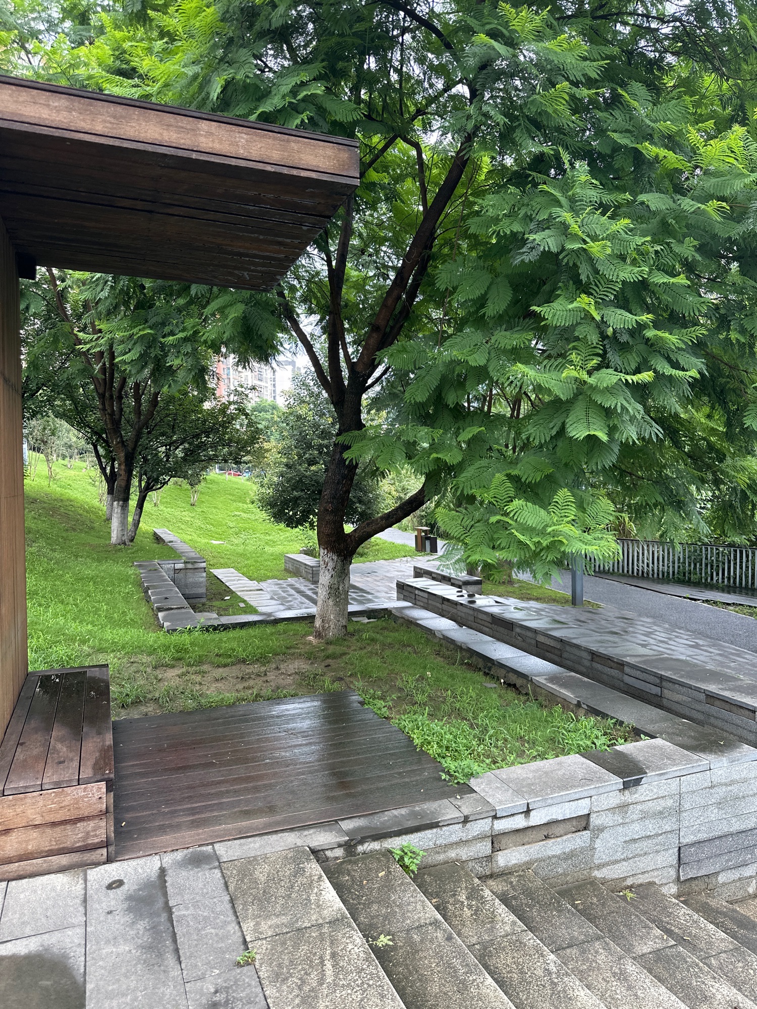 方家河公园旅行图片 3