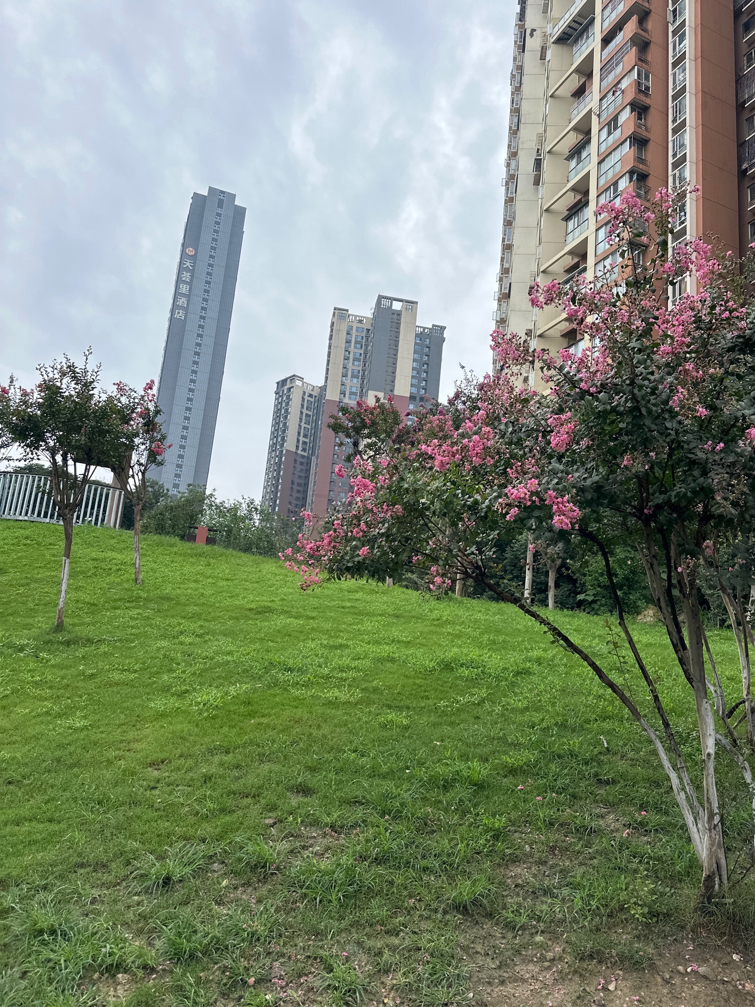 方家河公园旅行图片 2