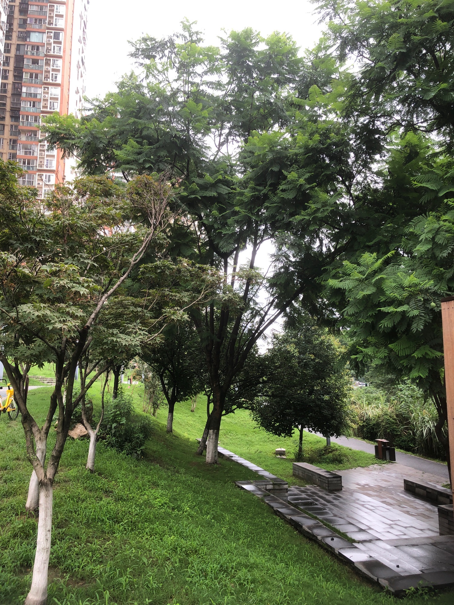 方家河公园旅行图片 3