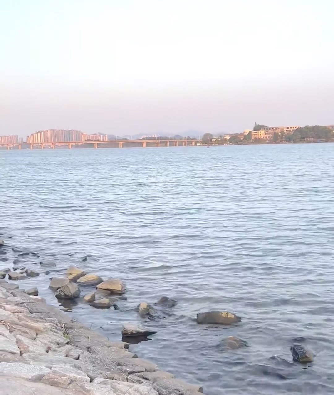 河源市高新区城市滨水公园旅行图片 3
