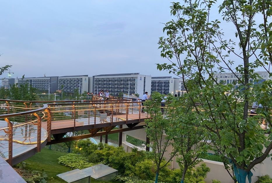 樱花公园旅行图片 2