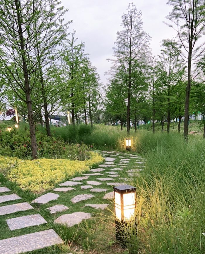 樱花公园旅行图片 1