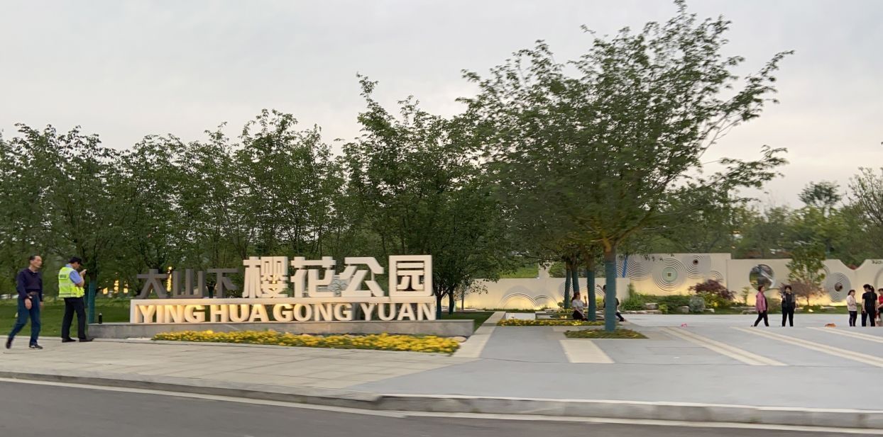 樱花公园旅行图片 3