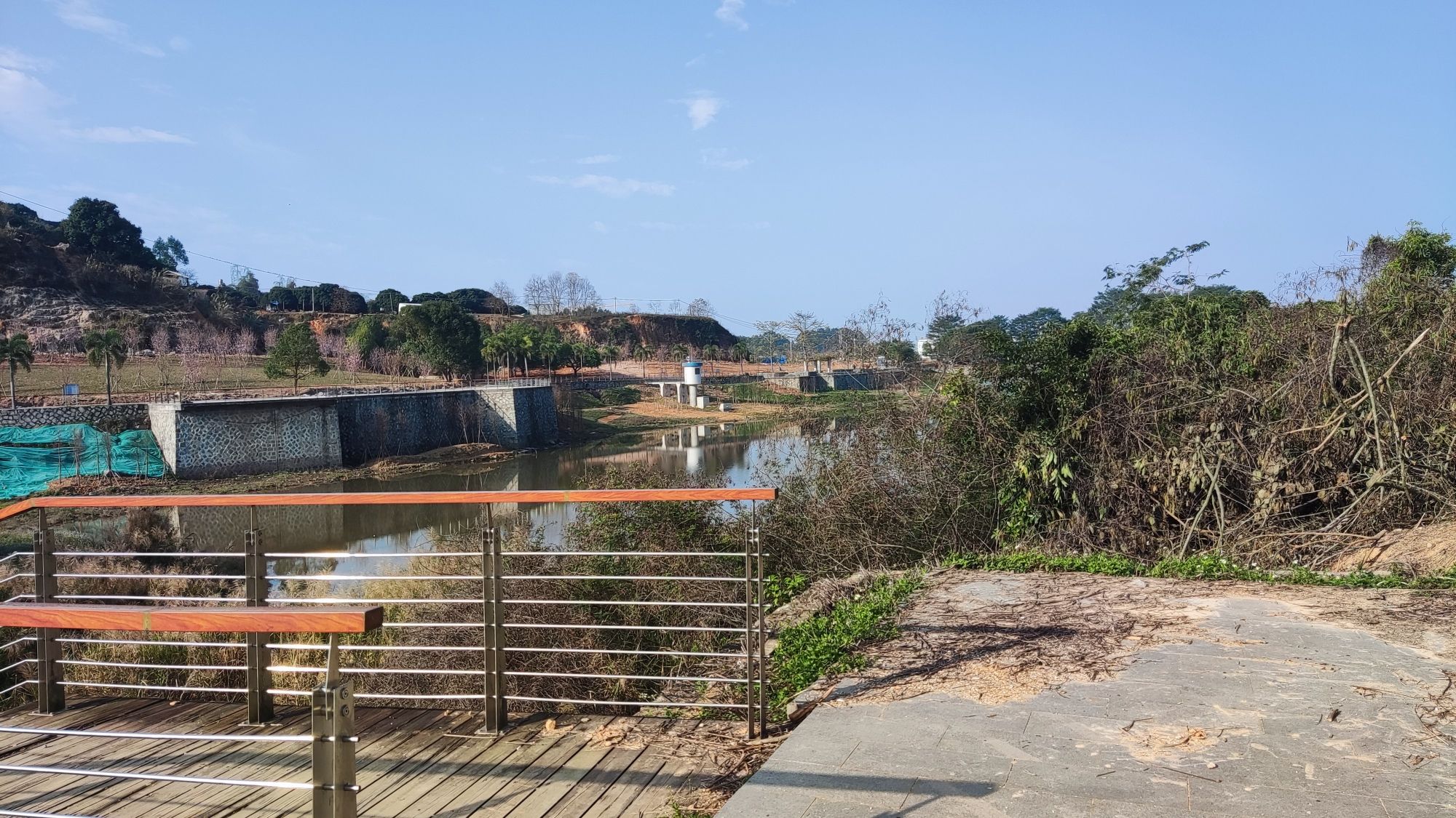 兴泰湖生态公园旅行图片 1