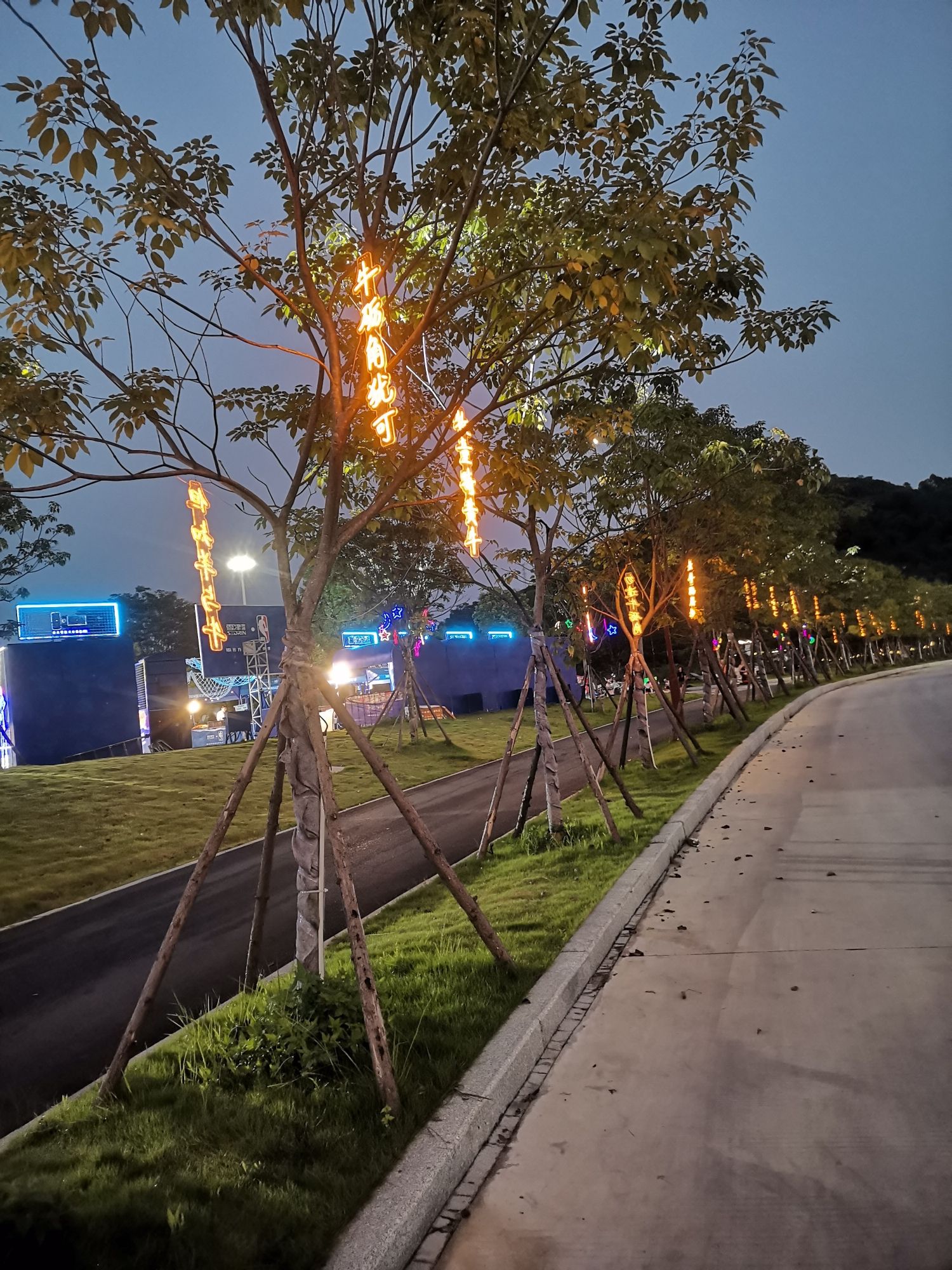 兴泰湖生态公园旅行图片 2