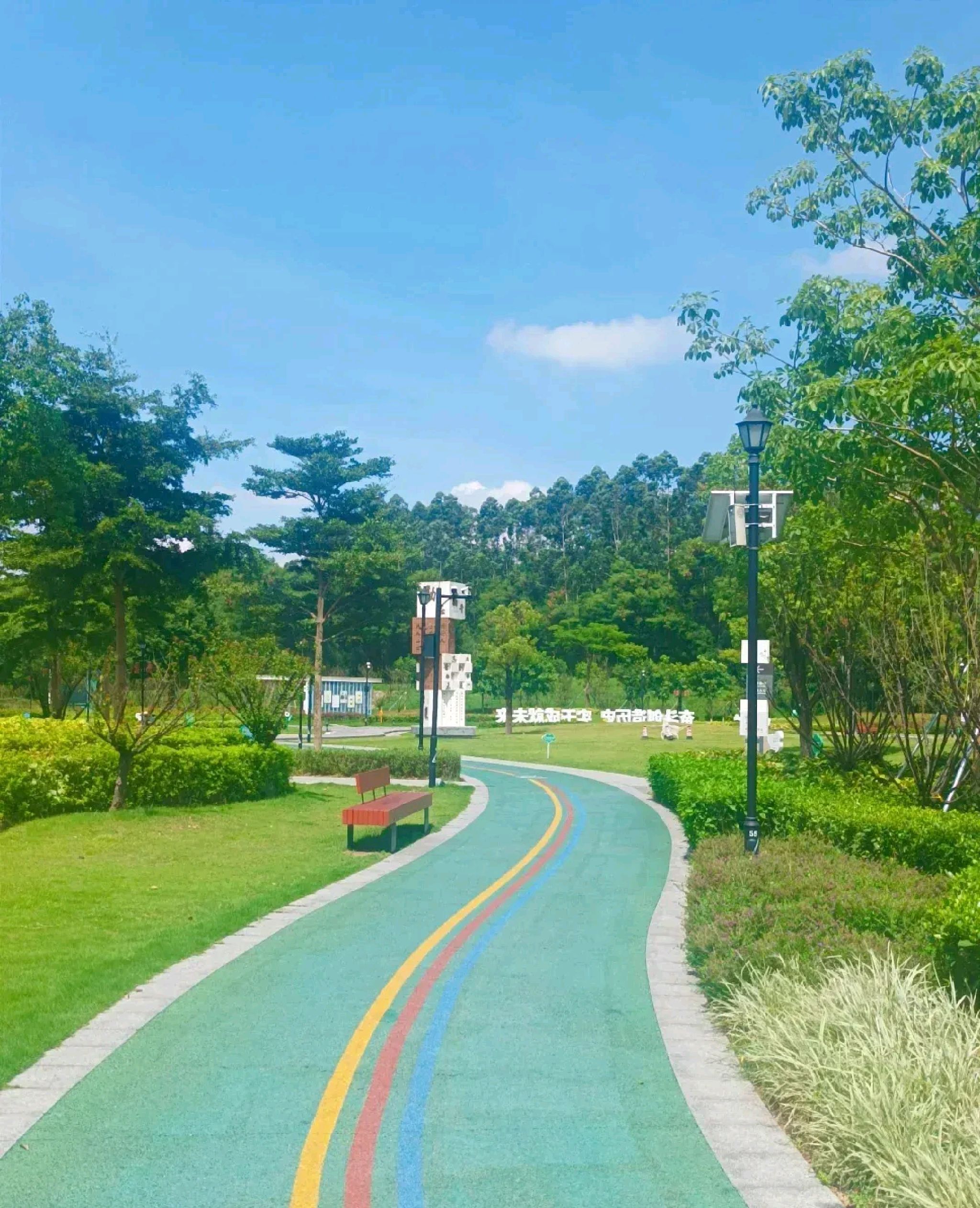 大水田香梅公园旅行图片 2