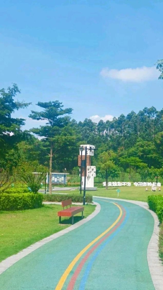 大水田香梅公园旅行图片 2