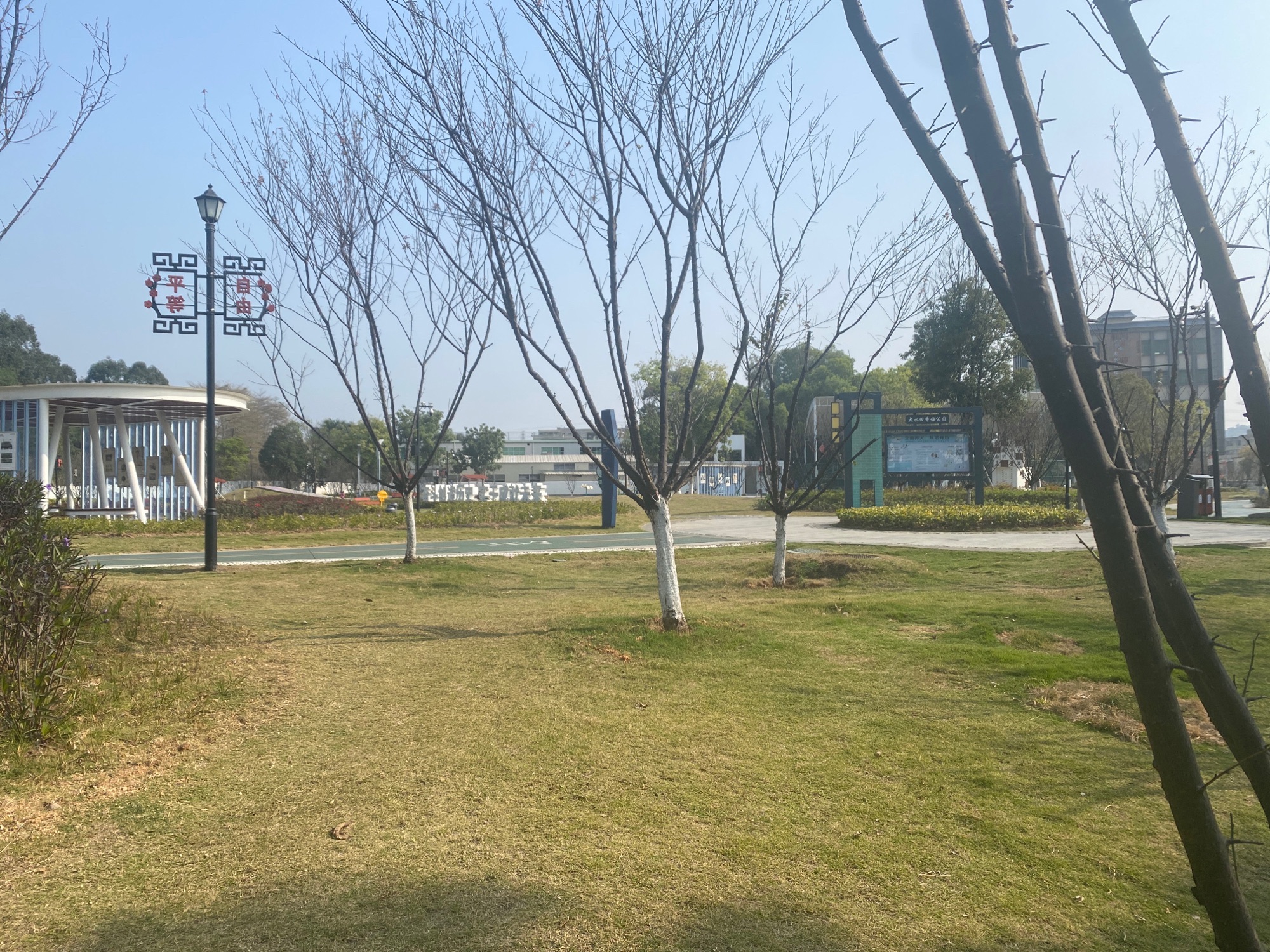大水田香梅公园旅行图片 3