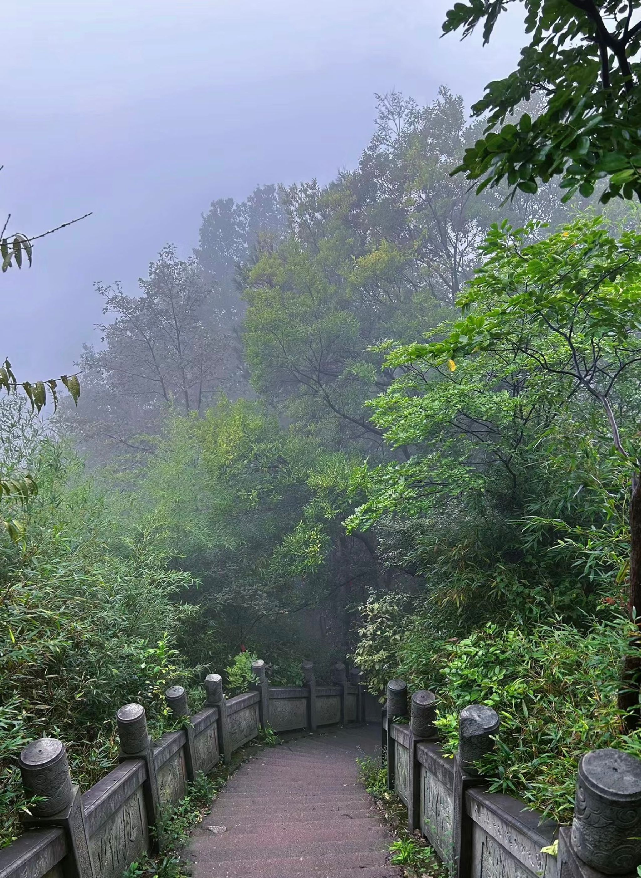 德胜岩森林公园旅行图片 1