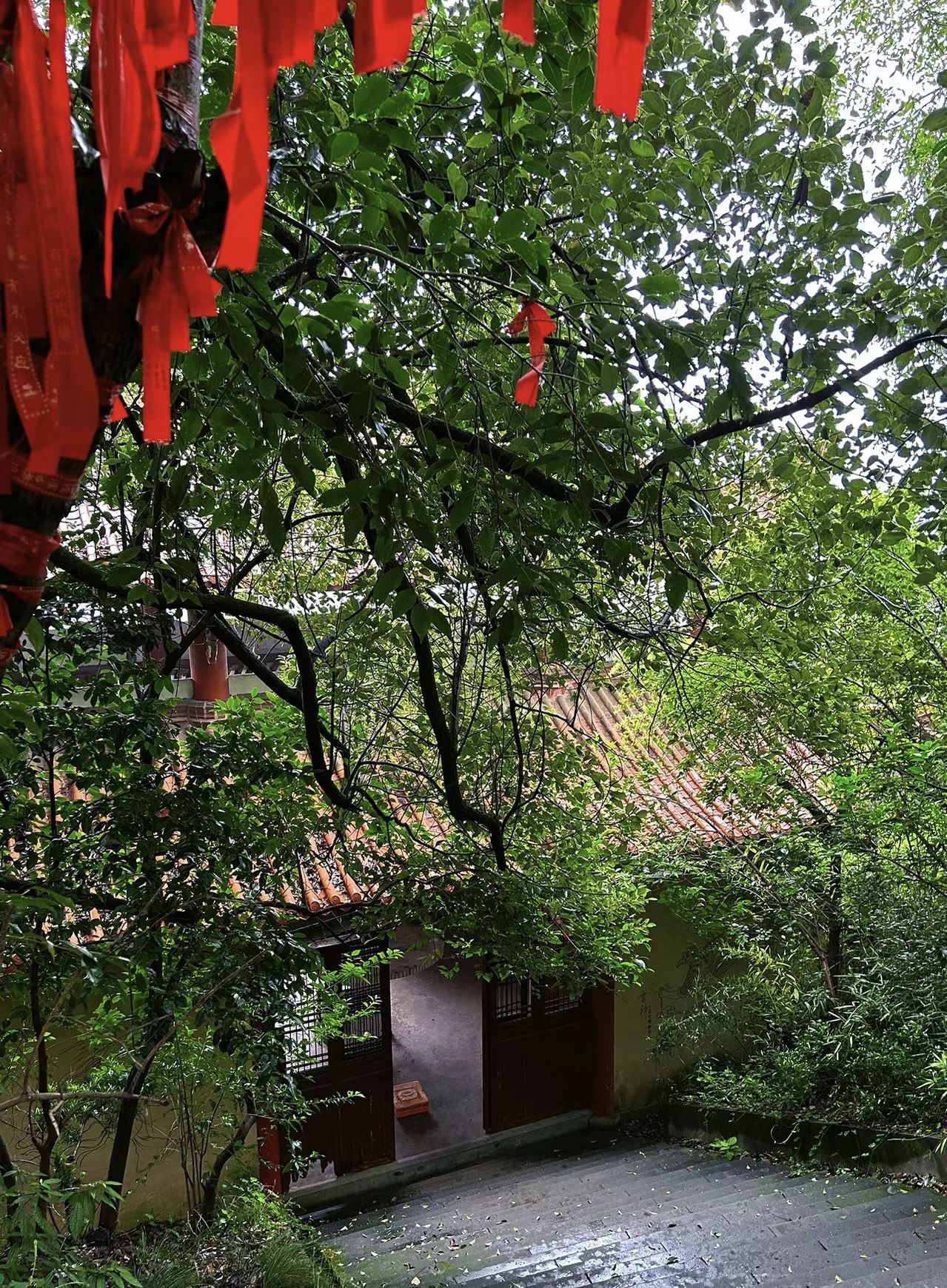 德胜岩森林公园旅行图片 2