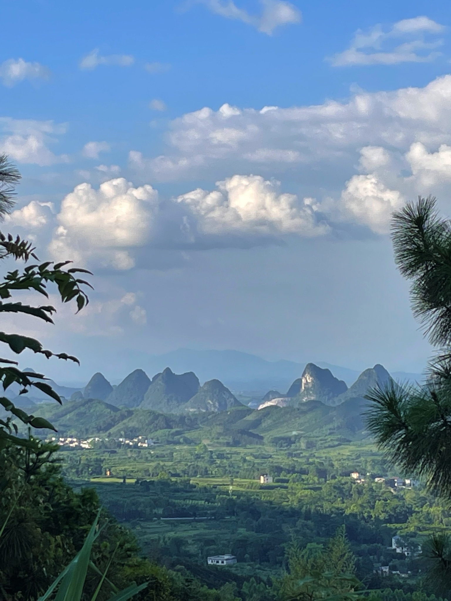 两江观景台旅行图片 1