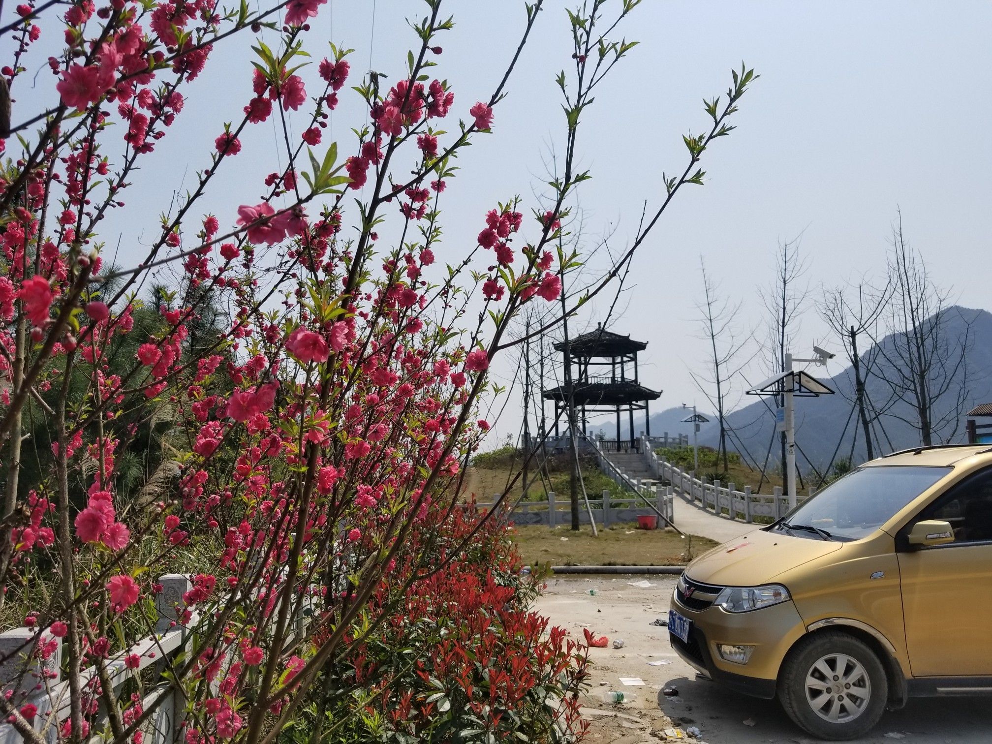 两江观景台旅行图片 1