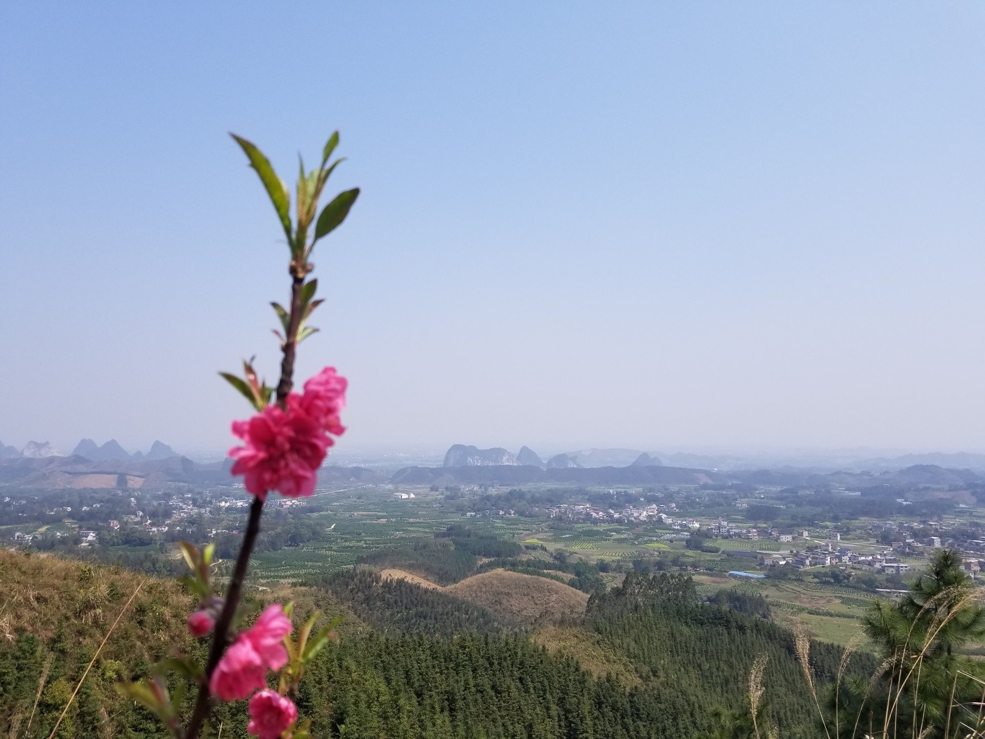 两江观景台旅行图片 3