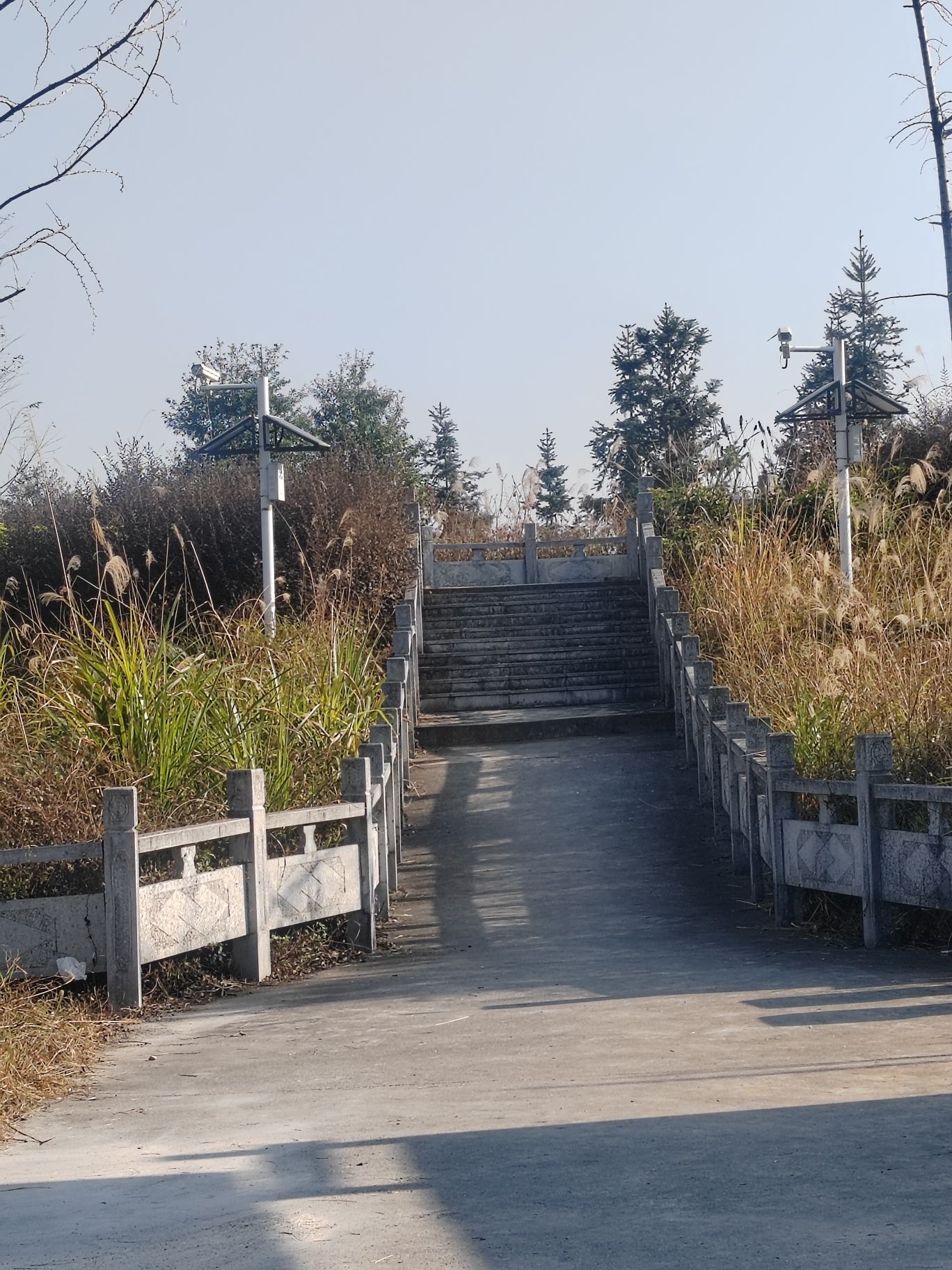 两江观景台旅行图片 2