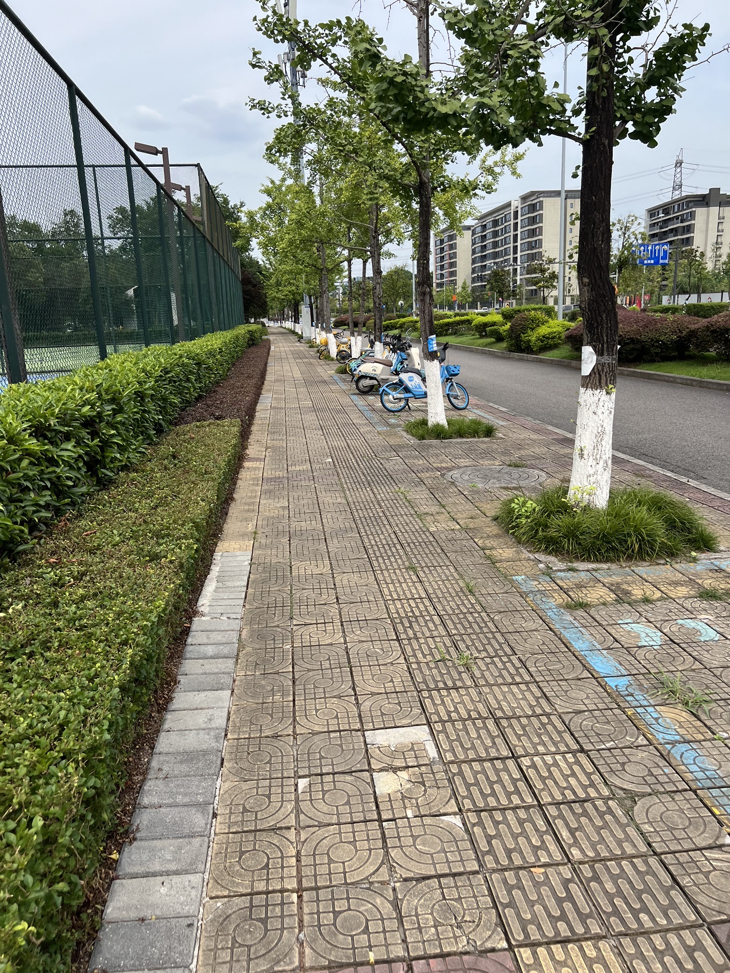 焕章体育文化公园旅行图片 2