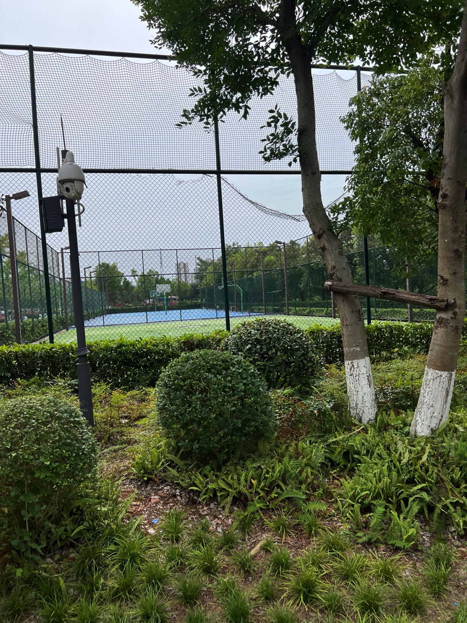 焕章体育文化公园旅行图片 1