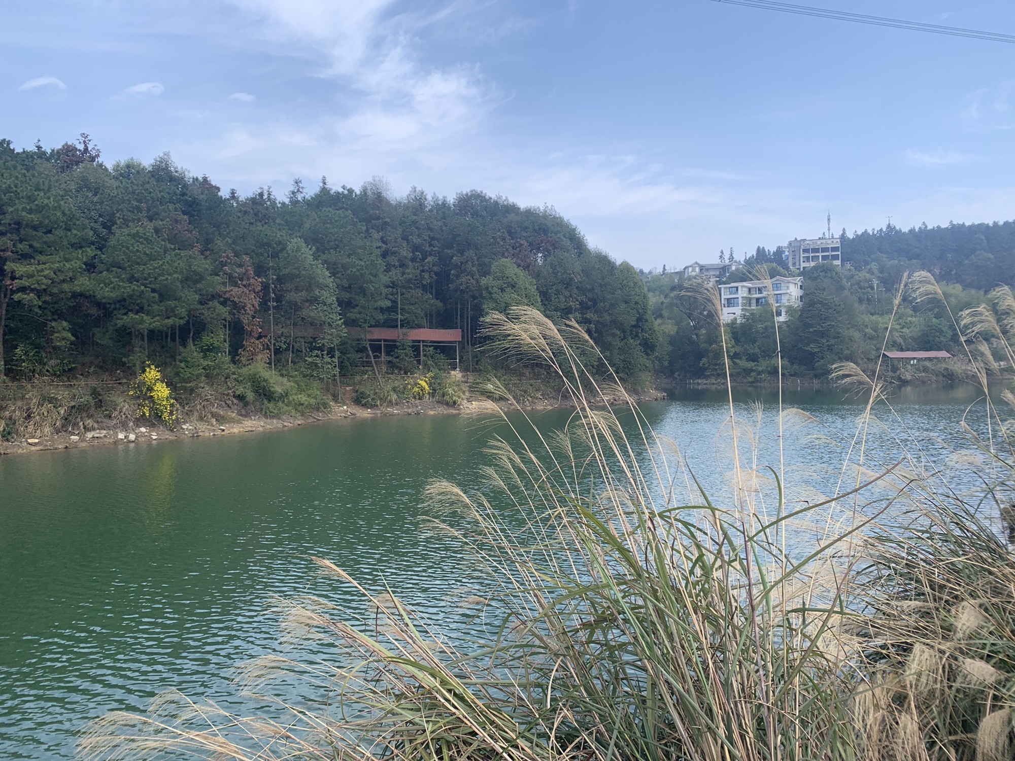花岛湖旅行图片 3