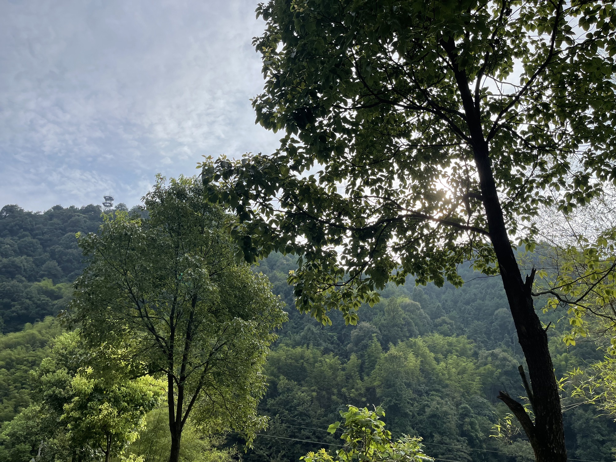花岛湖旅行图片 3