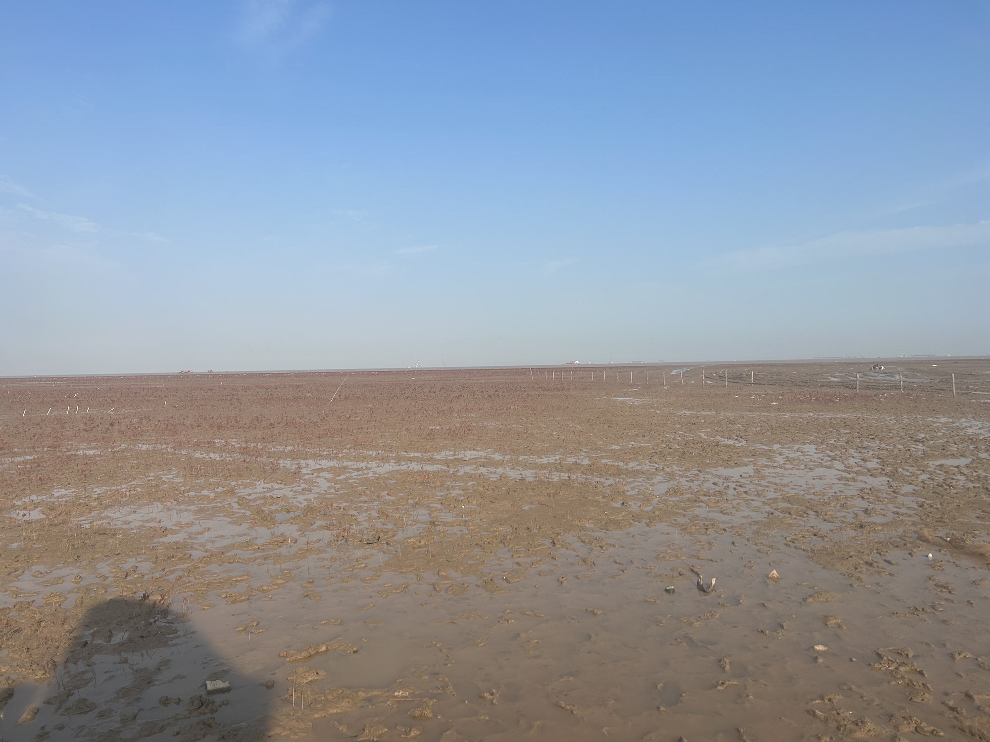 鸣翠湖沙滩旅行图片 1