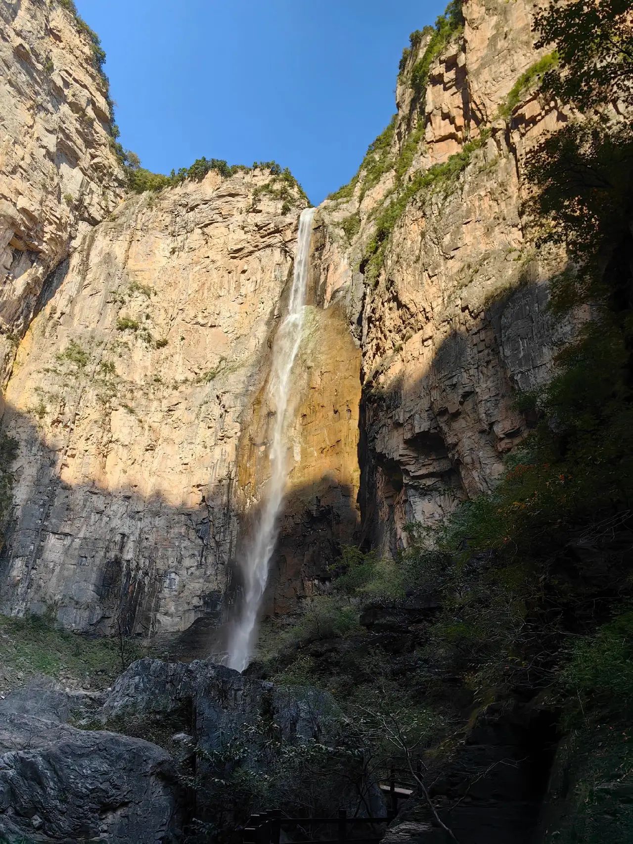 云台山森林公园旅行图片 2