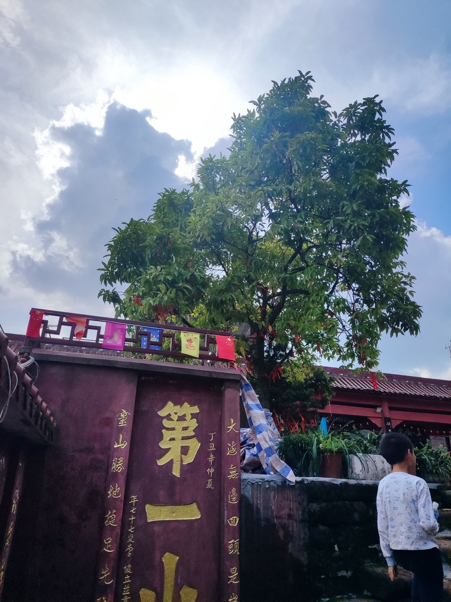 云台山森林公园旅行图片 2