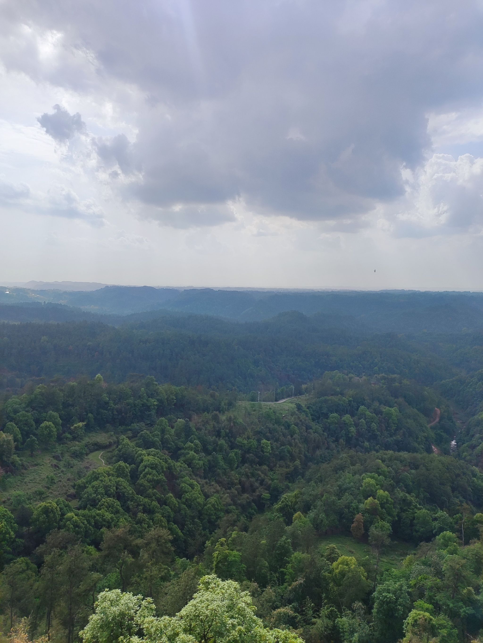 云台山森林公园旅行图片 1