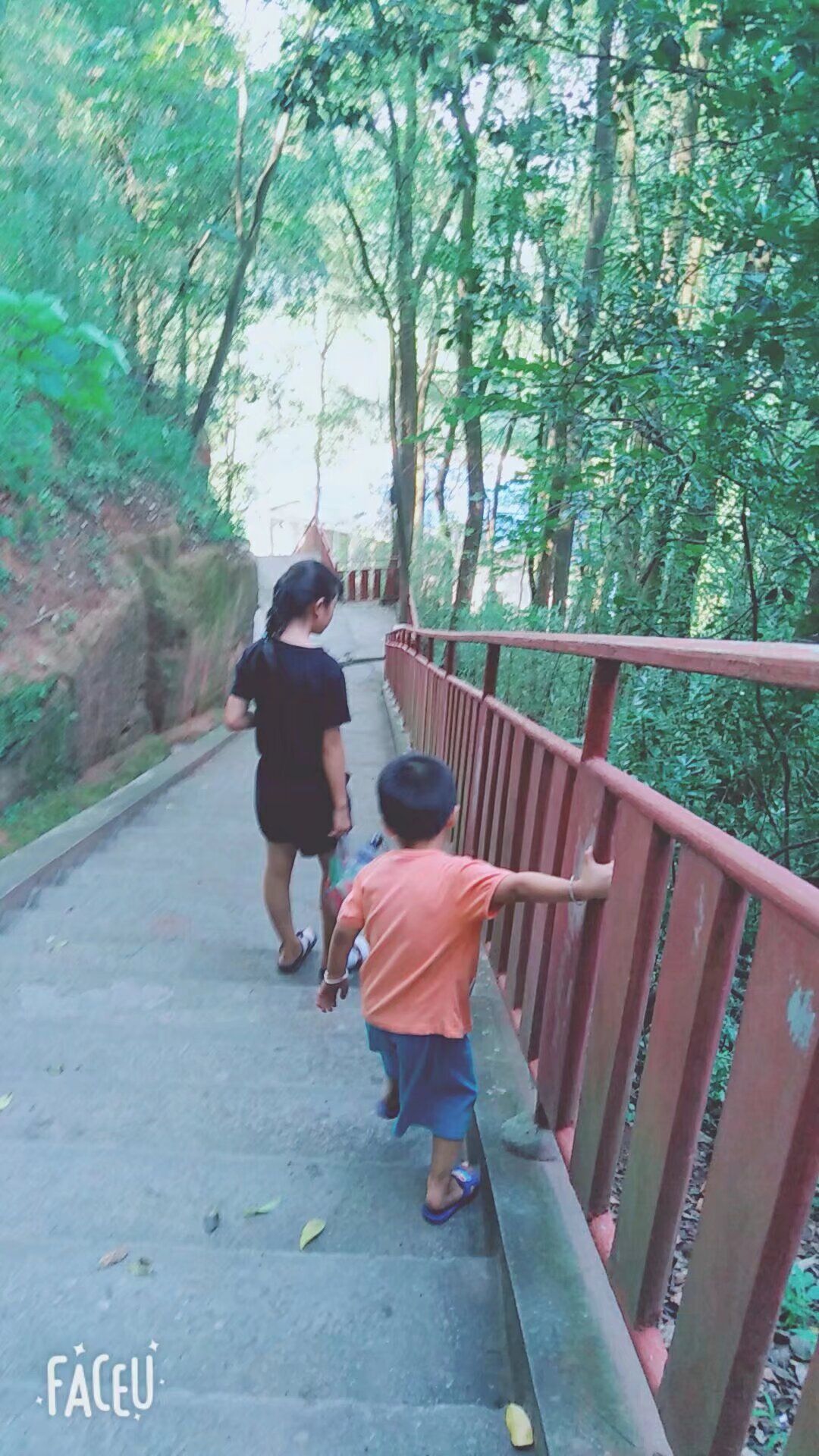 云台山森林公园旅行图片 2