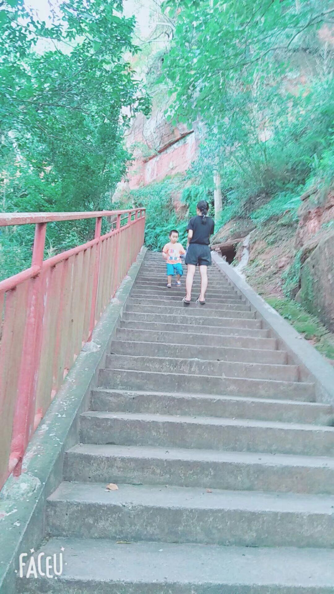 云台山森林公园旅行图片 3