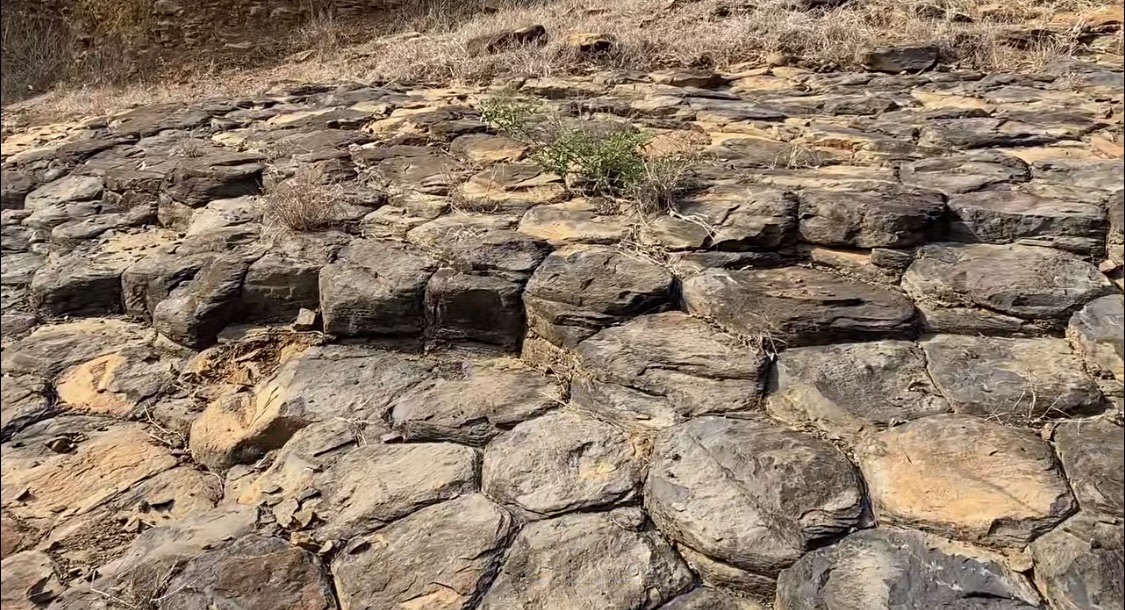 林埭月亮湾古火山地质公园旅行图片 1