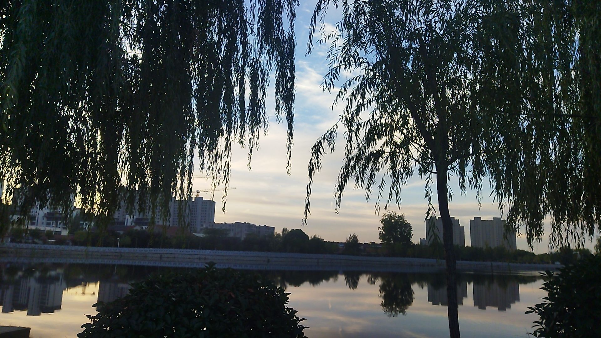灵溪湾公园旅行图片 1