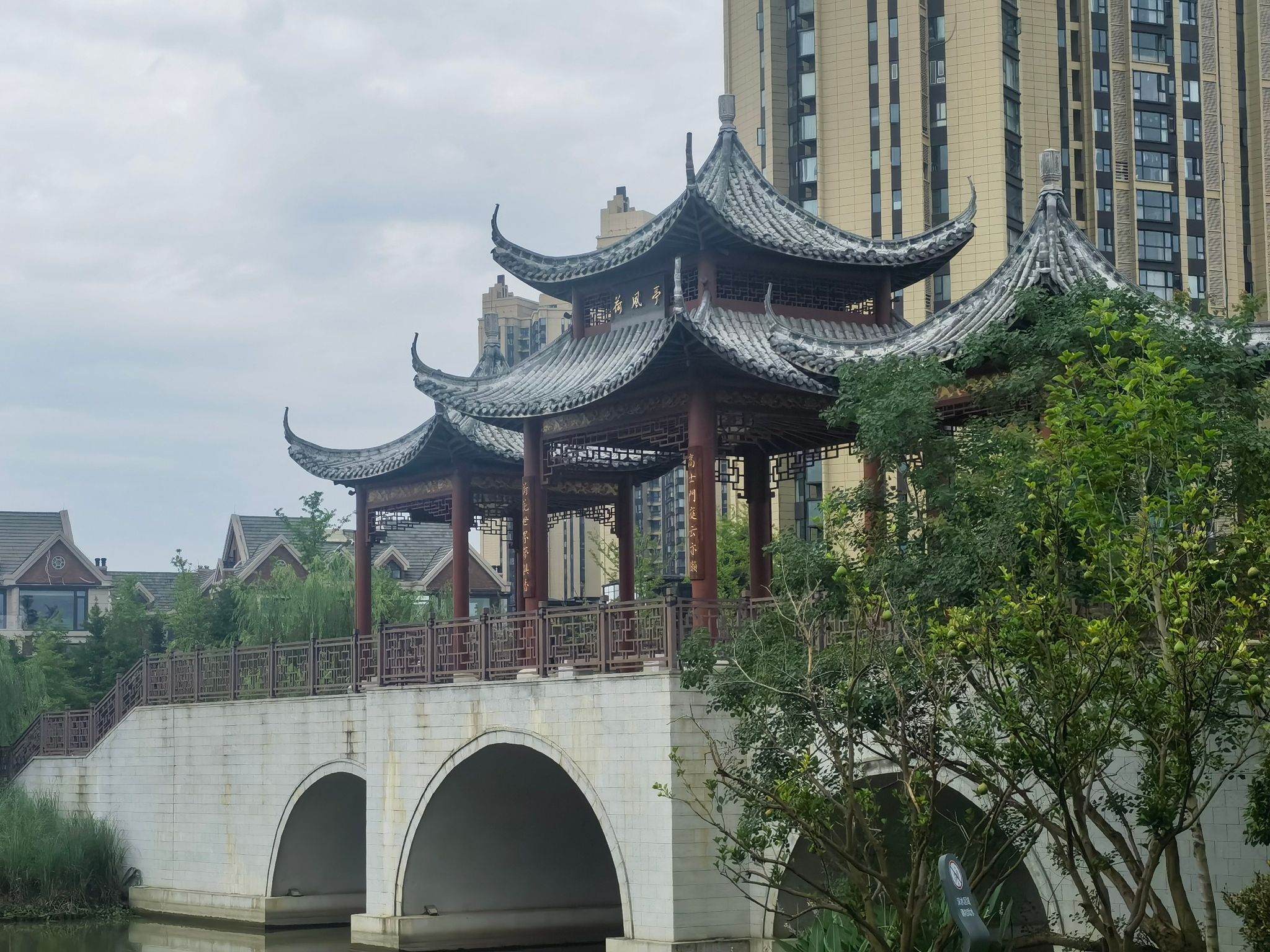 荷花公园旅行图片