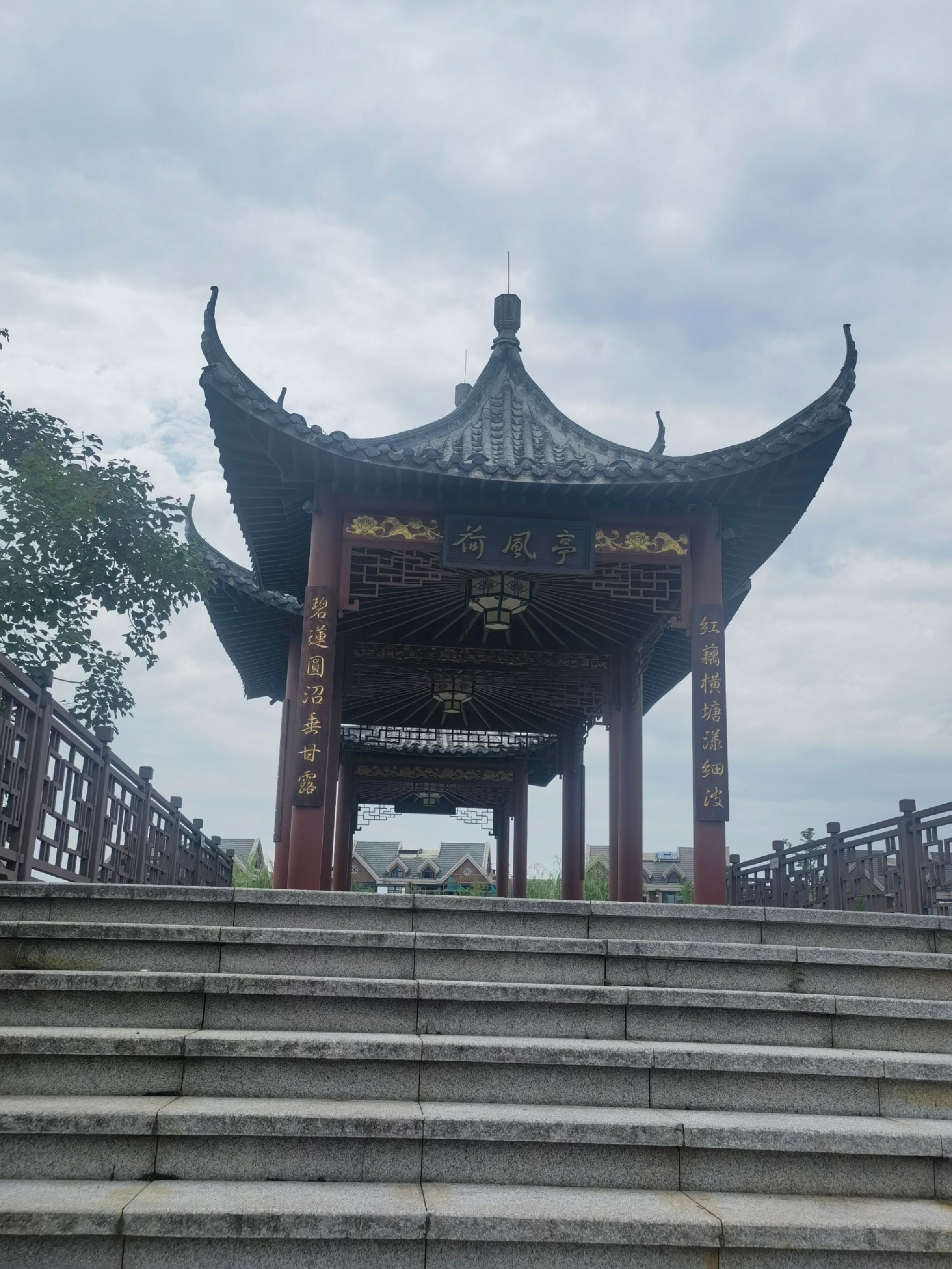 荷花公园旅行图片 2