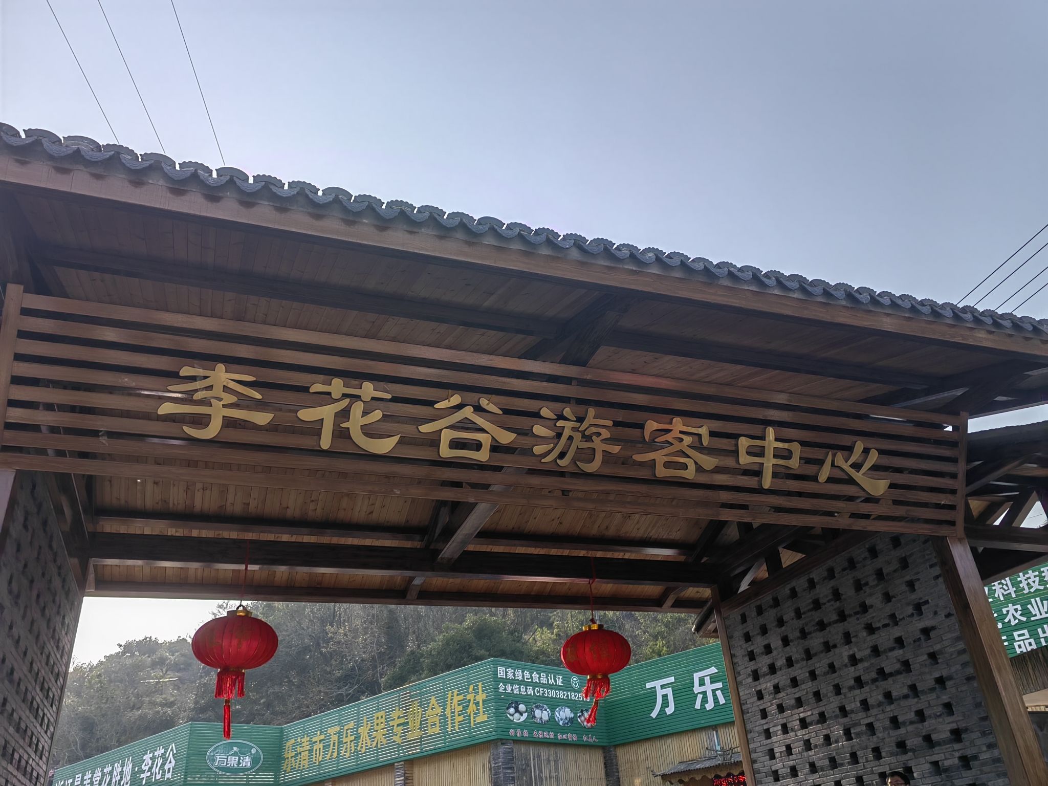 李花谷旅行图片 1
