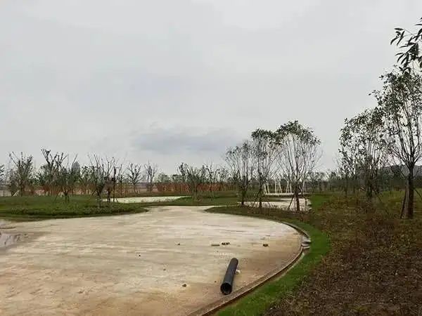 丹霞体育公园旅行图片 2