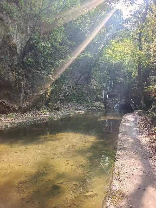 太行洪谷国家森林公园旅行图片 3