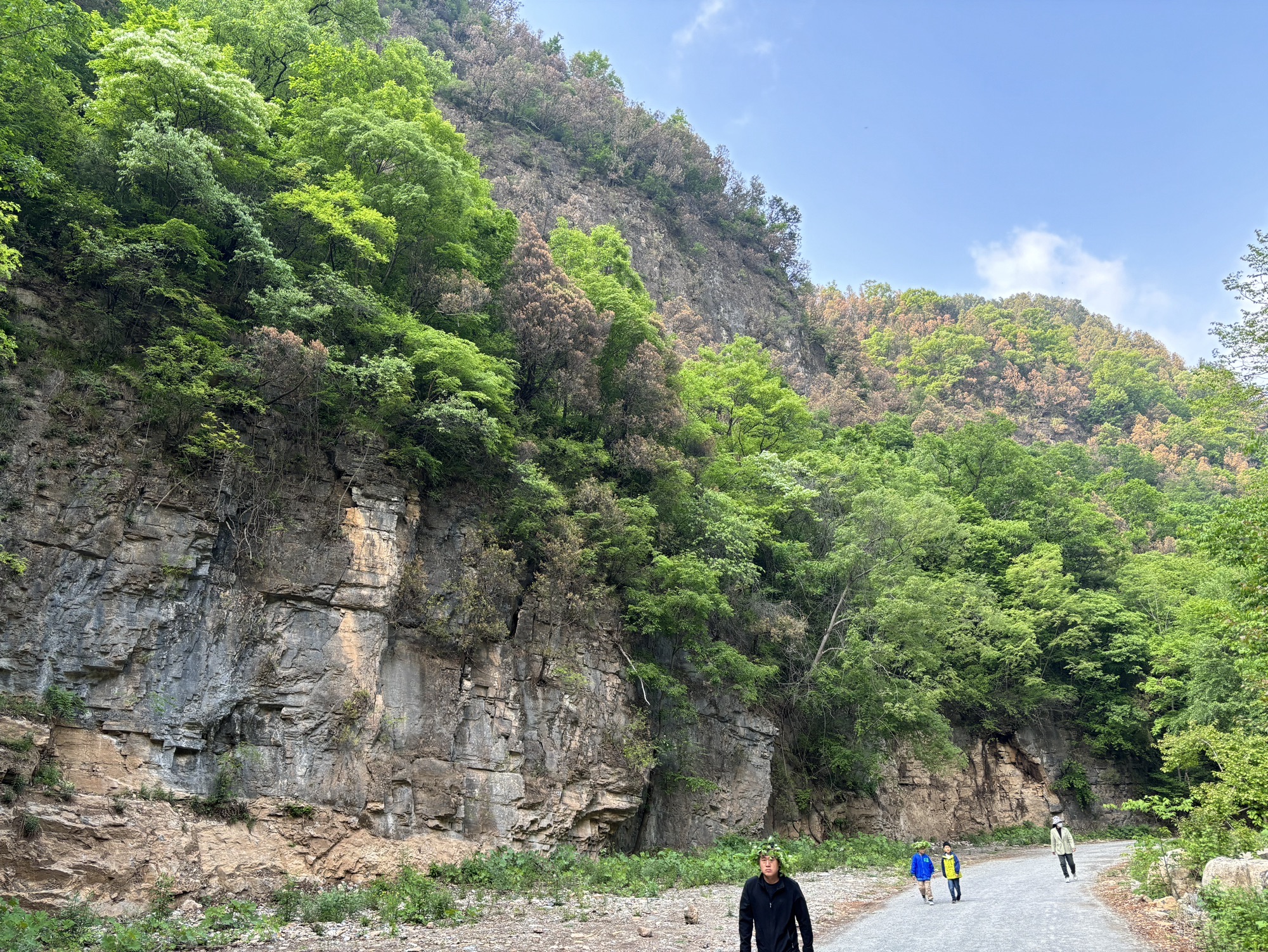 太行洪谷国家森林公园旅行图片 2