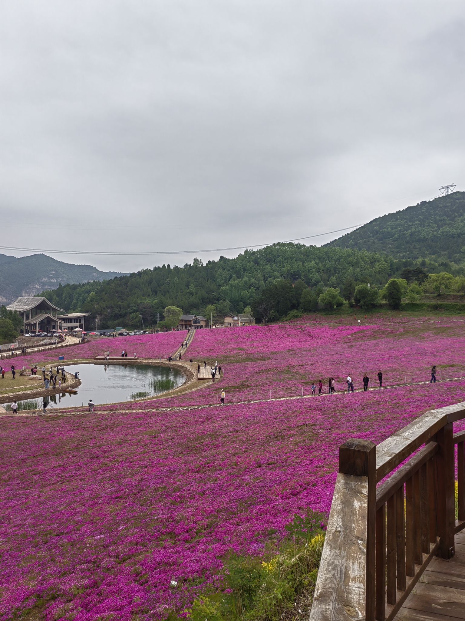 太行洪谷国家森林公园旅行图片 3