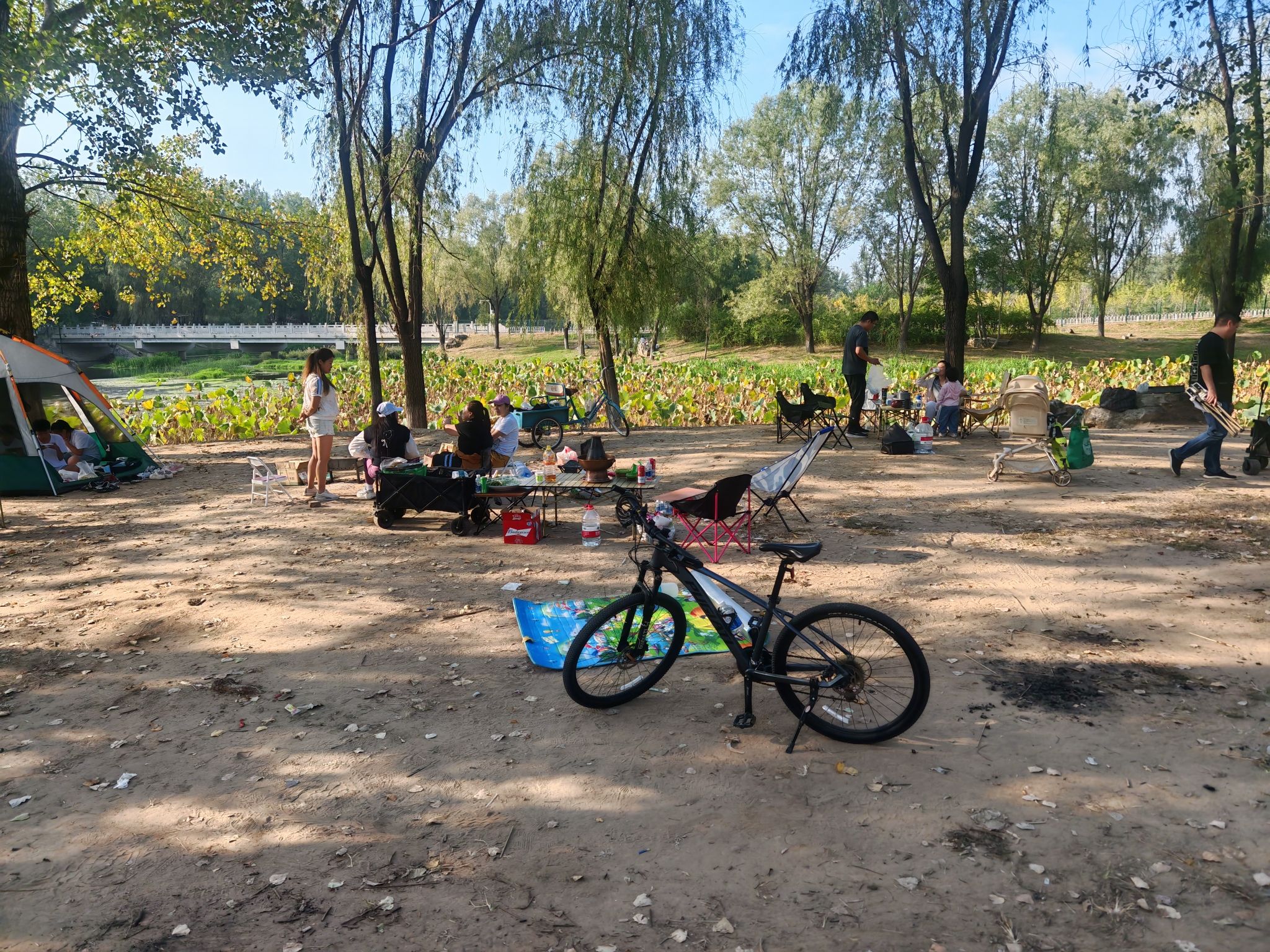 场地封面-小清河露营公园