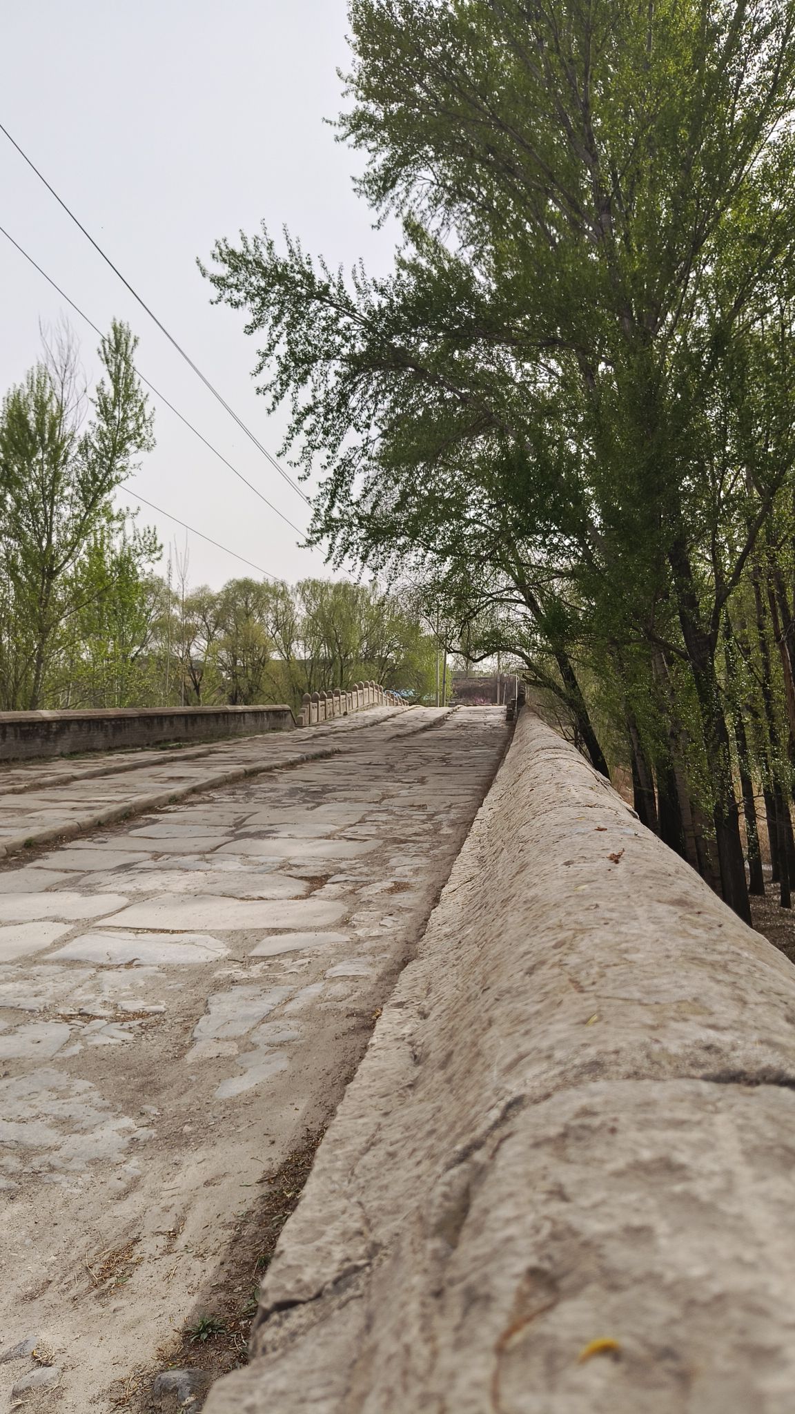 普济桥旅行图片 1