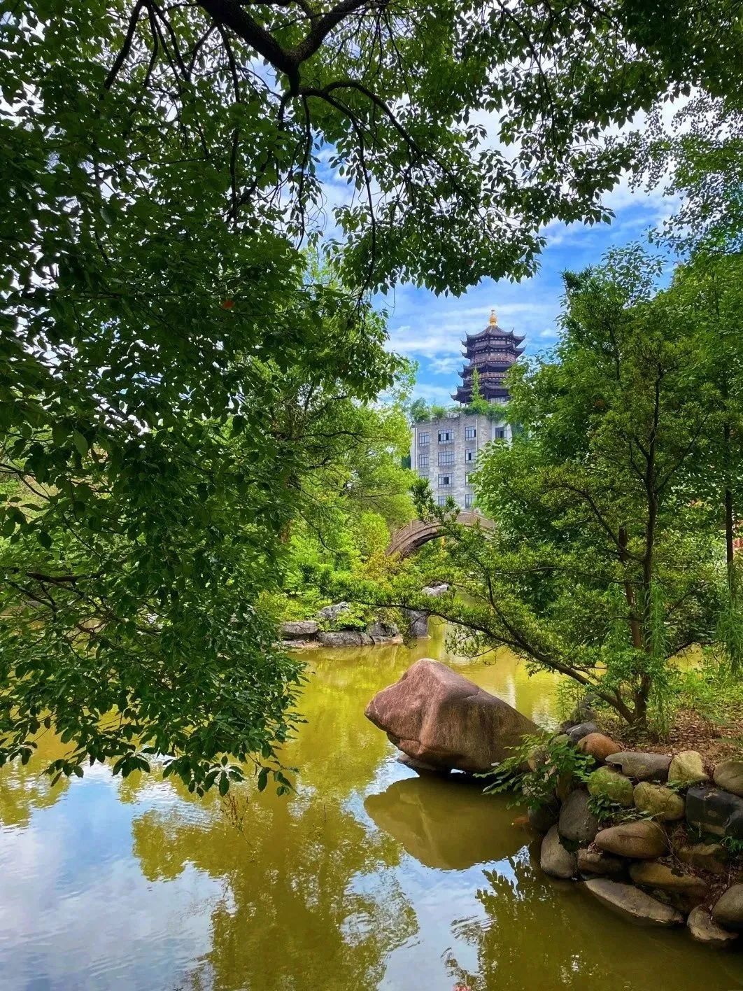 龙天小镇旅行图片 1