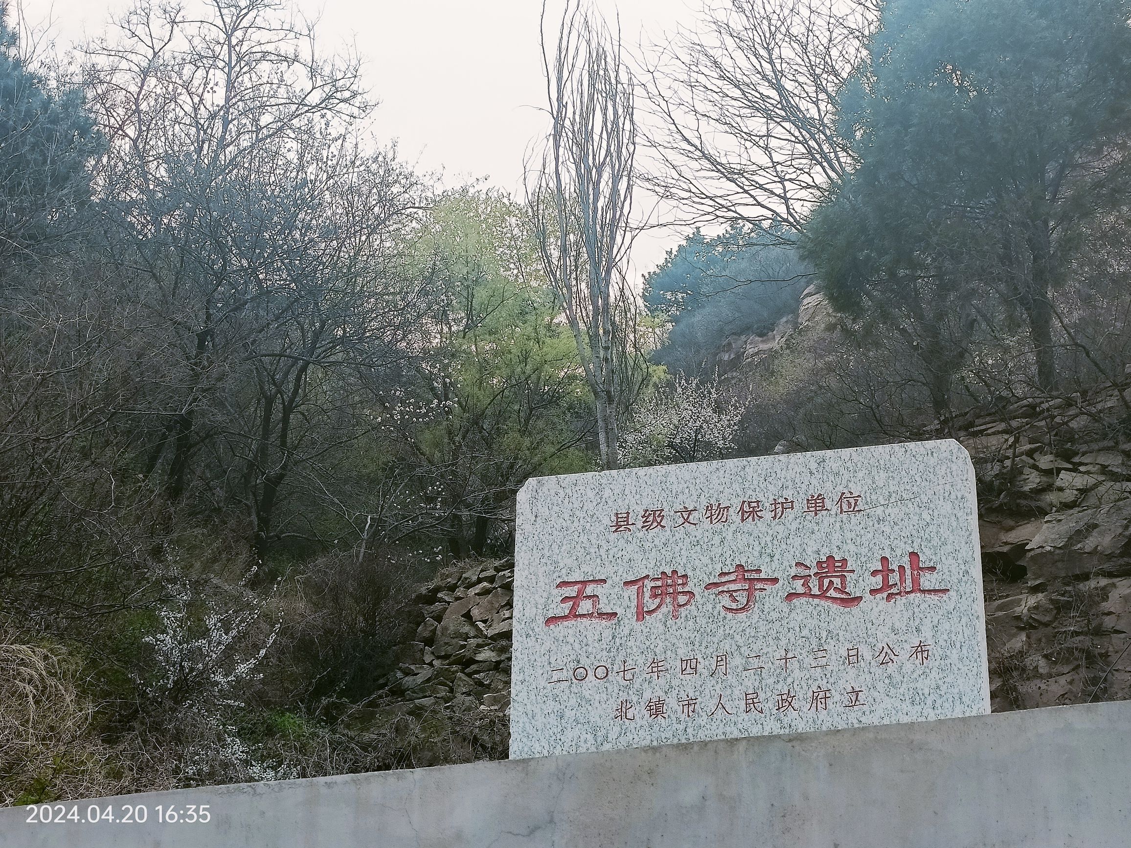 百花谷旅行图片 1