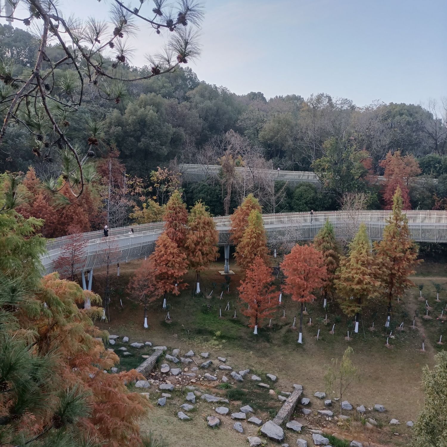 磨盘山森林公园旅行图片 2