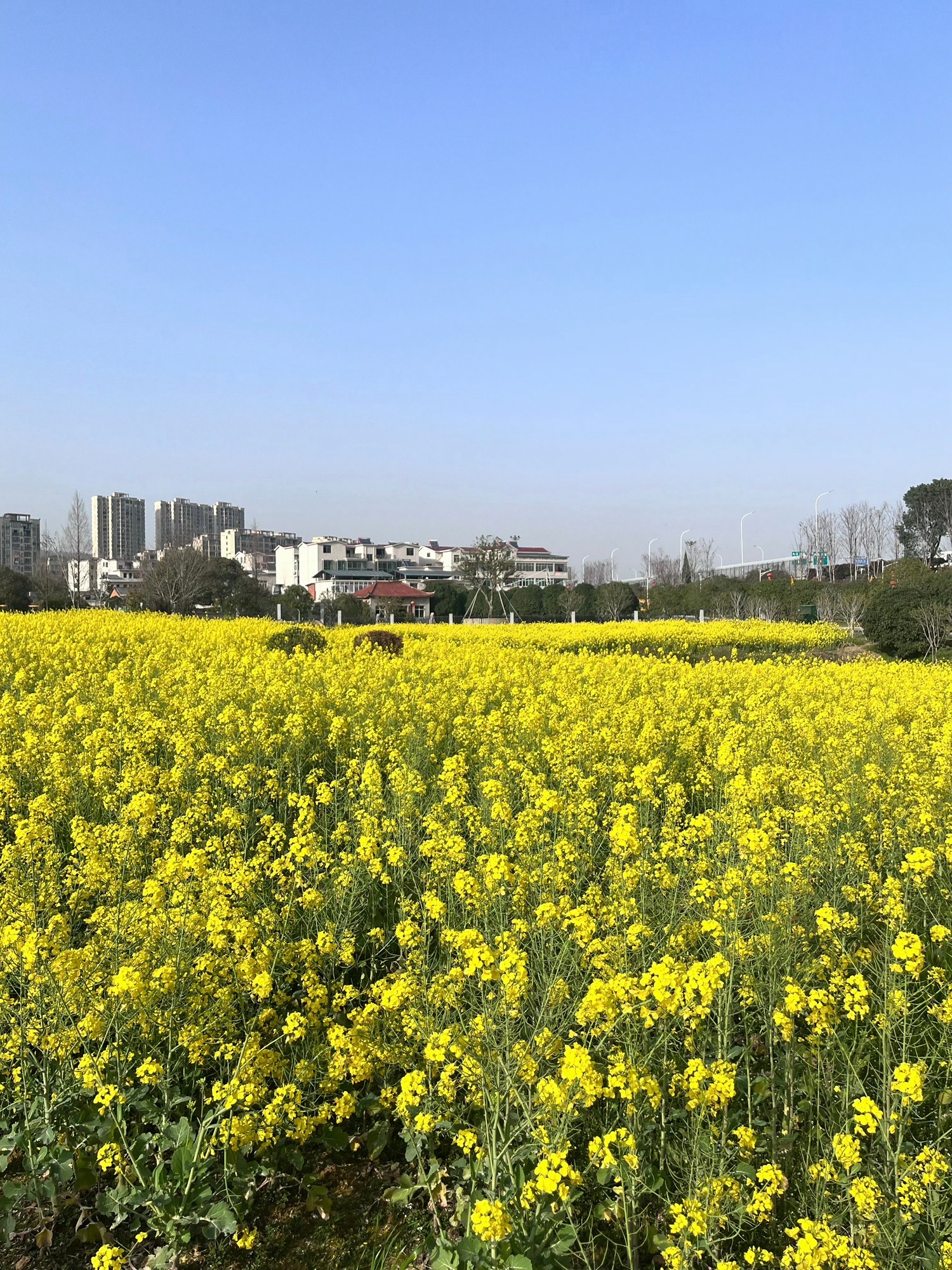 磨盘山森林公园旅行图片 1