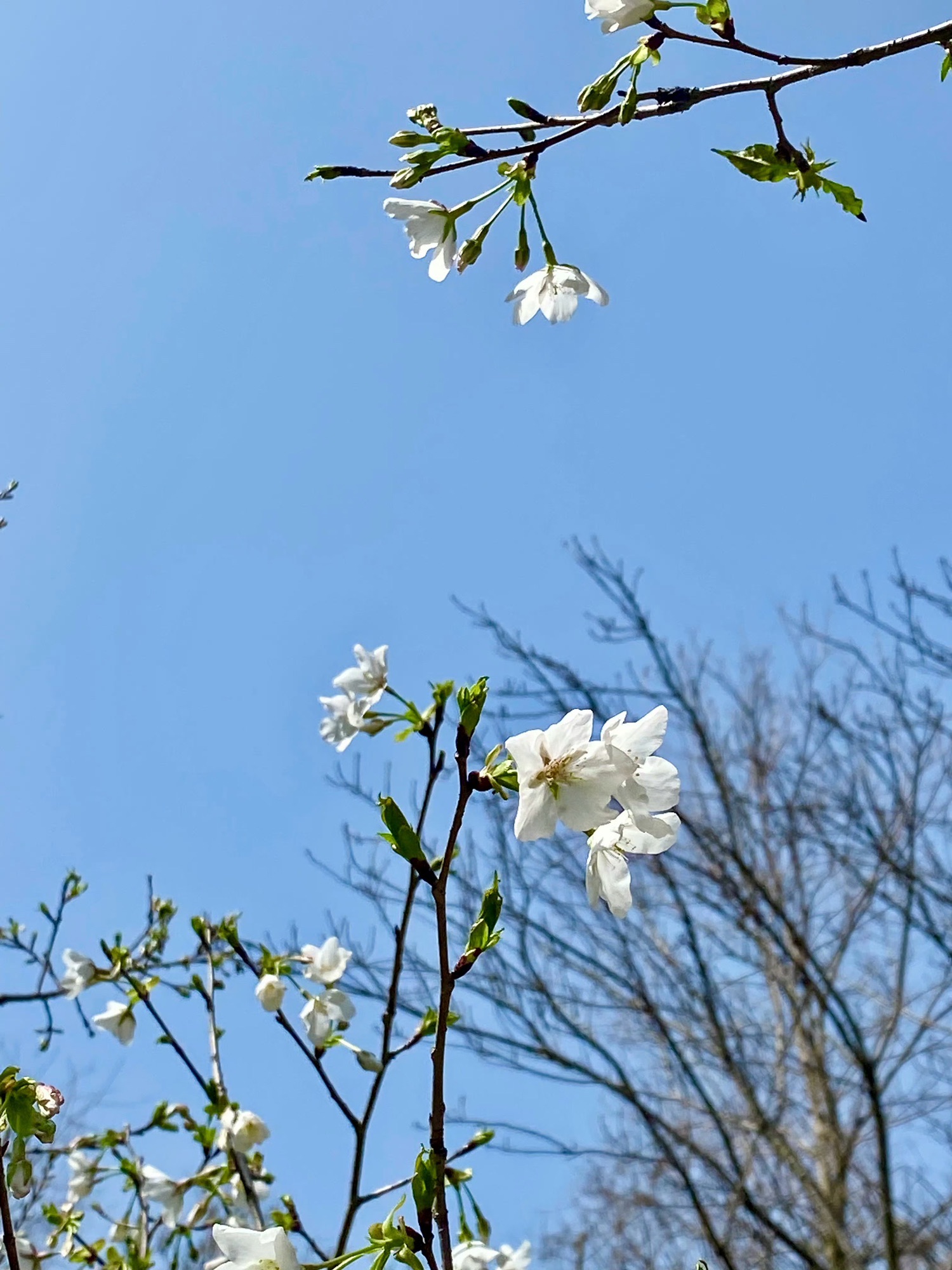 磨盘山森林公园旅行图片 2
